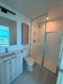 Brand New 2 Bed Condo For Rent - Photo 8