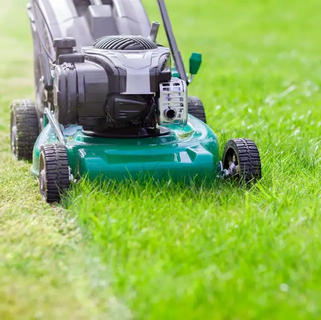 $15 to cut your grass. $25 eavestrough cleaned