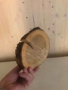 Rondins de bois à prix sublimes - Photo 3