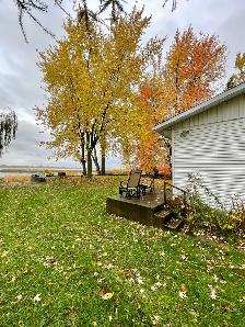 Le bord du fleuve pour l’automne-La campagne en ville - Photo 2