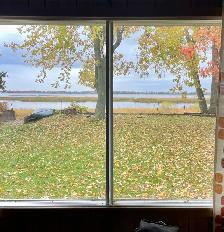 Le bord du fleuve pour l’automne-La campagne en ville - Photo 4