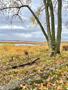Le bord du fleuve pour l’automne-La campagne en ville - Photo 6