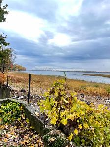 Le bord du fleuve pour l’automne-La campagne en ville - Photo 7