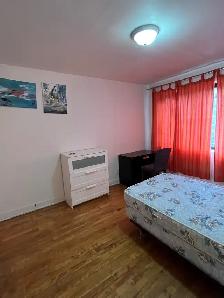 chambre à louer