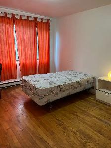 chambre à louer - Photo 2