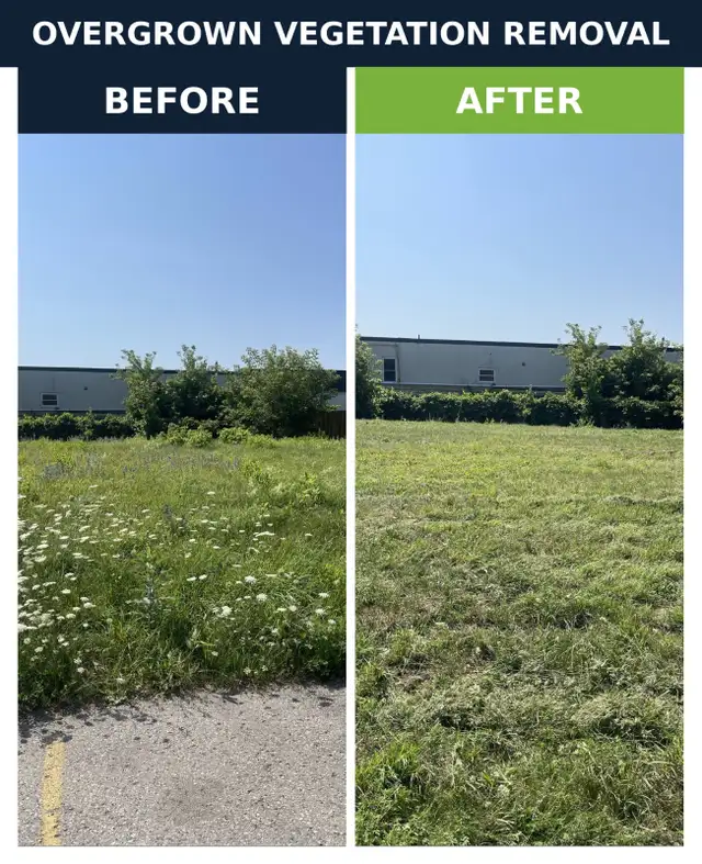 Bush hogging, tall grass cutting, lot clearing, landscaping