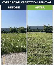 Bush hogging, tall grass cutting, lot clearing, landscaping