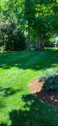 Bush hogging, tall grass cutting, lot clearing, landscaping - Photo 2