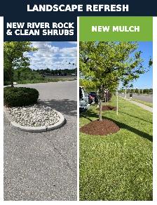 Bush hogging, tall grass cutting, lot clearing, landscaping - Photo 3