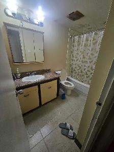 Spacious Master Bedroom with Walk-In Closet - Photo 8