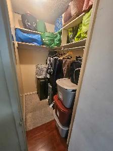 Spacious Master Bedroom with Walk-In Closet - Photo 9