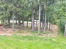 Landscape Helper Needed – Work with Woodchips