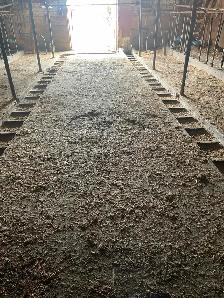 Barn For Rent 10 Minutes West Of Didsbury - Photo 4