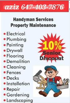 All GTA: pro handymans services -- 647-403-7876