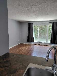 Studio Apartment for rent - Photo 3