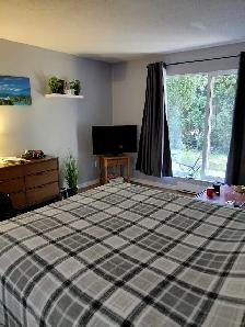Studio Apartment for rent - Photo 4
