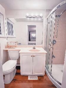Master bedroom with attached bathroom for rent - Photo 3