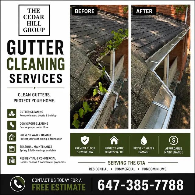 Gutter Cleaning Services