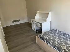 York University village room for rent