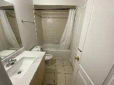 York University village room for rent - Photo 7