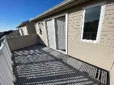 York University village room for rent - Photo 9
