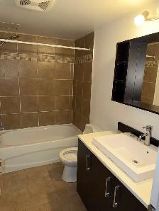 Logement 5 1/2 demi sous-sol Longueuil - Photo 3