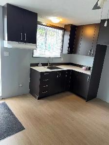 Logement 5 1/2 demi sous-sol Longueuil - Photo 4