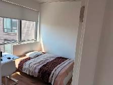 2-Bedroom Student Apartment for Rent (Lease Takeover) - Photo 17