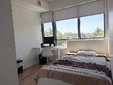 2-Bedroom Student Apartment for Rent (Lease Takeover) - Photo 18