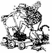 Gas Lawn Mower Repair.