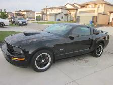 2006 Ford Mustang GT - Photo 3
