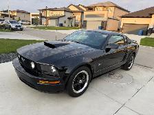 2006 Ford Mustang GT - Photo 4