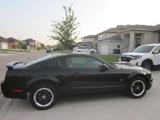 2006 Ford Mustang GT - Photo 10