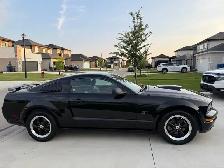 2006 Ford Mustang GT - Photo 11