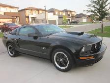 2006 Ford Mustang GT - Photo 12