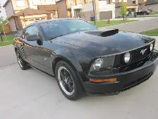 2006 Ford Mustang GT - Photo 13