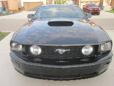 2006 Ford Mustang GT - Photo 14