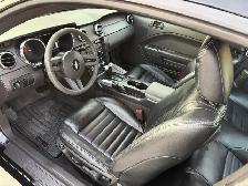 2006 Ford Mustang GT - Photo 15