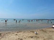 Beautiful 2 bedroom condominium unit available at Main Beach! - Photo 8