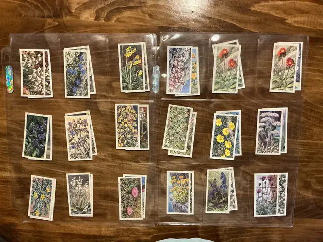 41. 1964 Brooke Bond Tea "Wild Flowers" Trading Cards Series !