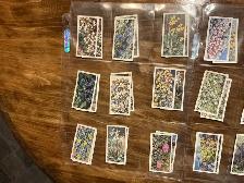 41. 1964 Brooke Bond Tea "Wild Flowers" Trading Cards Series ! - Photo 2