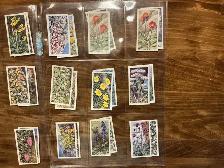 41. 1964 Brooke Bond Tea "Wild Flowers" Trading Cards Series ! - Photo 3