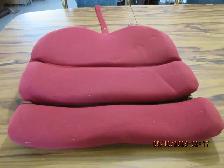 Back Support