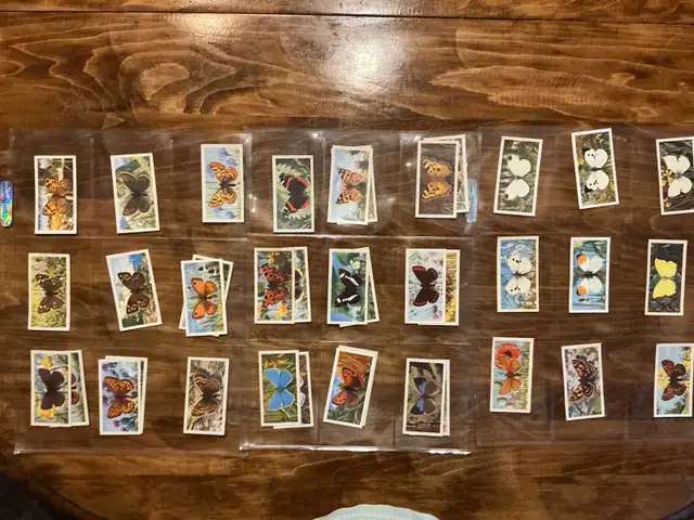 38. 1963 Brooke Bond Tea "BRITISH BUTTERFLIES" Trading Cards