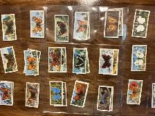 38. 1963 Brooke Bond Tea "BRITISH BUTTERFLIES" Trading Cards - Photo 3