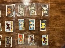 38. 1963 Brooke Bond Tea "BRITISH BUTTERFLIES" Trading Cards - Photo 4
