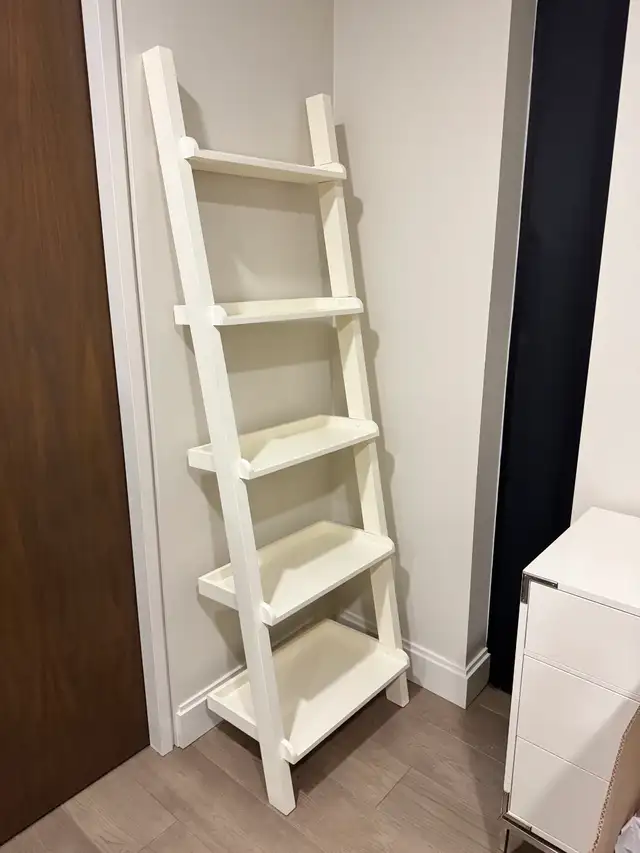 Modern White Leaning Ladder Shelf
