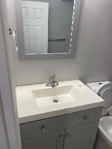 TWO BEDROOM BASEMENT FOR RENT - Photo 4