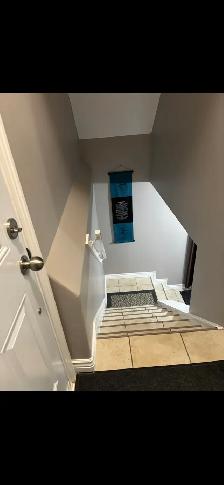 Beautiful basement Suite for Rent!