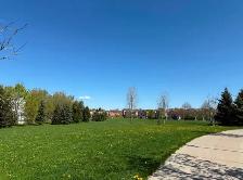 Modern Townhouse Near Woodbine Beach For Rent - Photo 10
